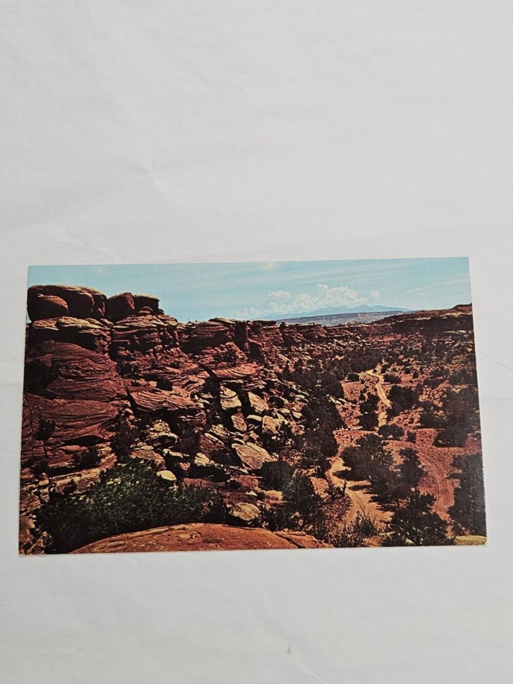 View from Elephant Hill Canyonlands National Park Utah Postcard